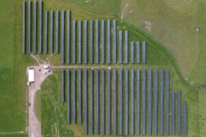 Trinasolar develops agrivoltaic site with Kiwi clean energy solutions ...