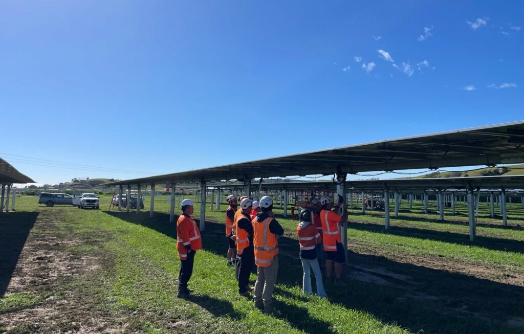Lodestone powers up 69 GWh agrivoltaic solar farm in New Zealand's ...